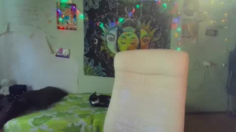 Lil online show from March 19, 2:59 am