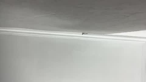 Lilith  online show from November 11, 3:23 pm