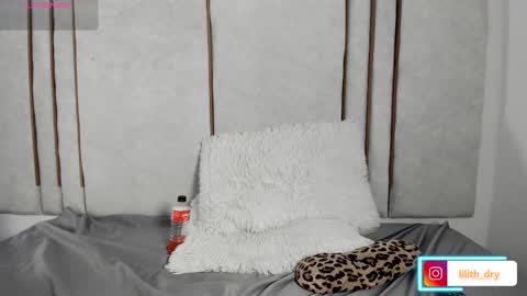 Snapshot of lilithdry chatting on March 27, 11:48 pm Lilith online show from March 27, 11:48 pm