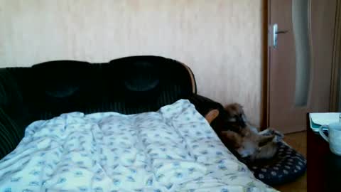 Lenkaa777 online show from April 1, 12:28 pm