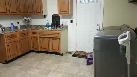 Snapshot of lilly_adams88 chatting on February 18, 11:55 pm lilly_adams88 online show from February 18, 11:55 pm