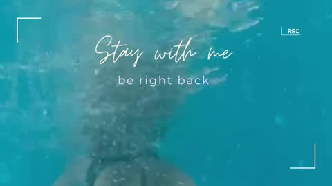 Lily online show from September 11, 6:24 am