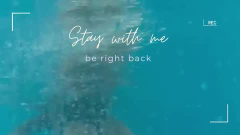 Lily online show from September 22, 5:42 am