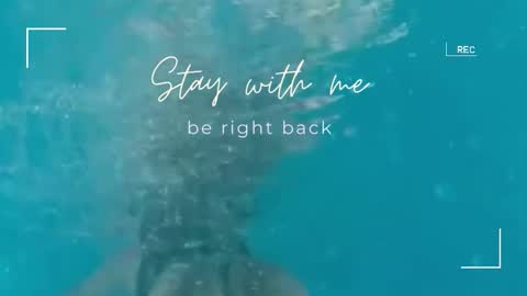 Lily online show from September 23, 7:00 am