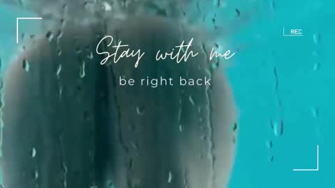 Snapshot of lily_foster_ chatting on December 19, 7:04 am Lily online show from December 19, 7:04 am