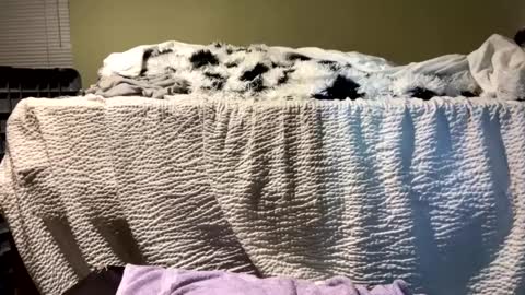 Richie Rich online show from December 13, 7:10 pm