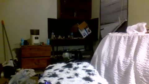 Richie Rich online show from December 30, 8:15 pm