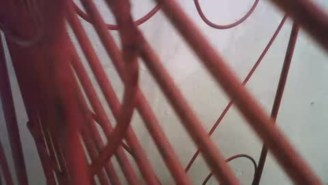 Richie Rich online show from October 11, 5:00 pm