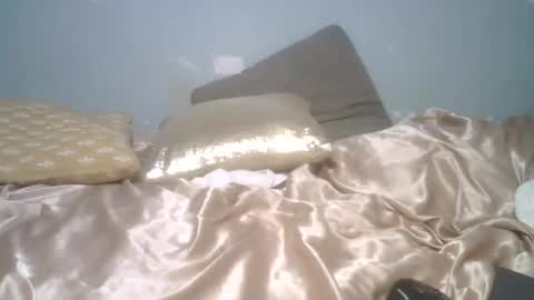 Snapshot of lincolnlongdick chatting on March 24, 7:19 pm Richie Rich online show from March 24, 7:19 pm