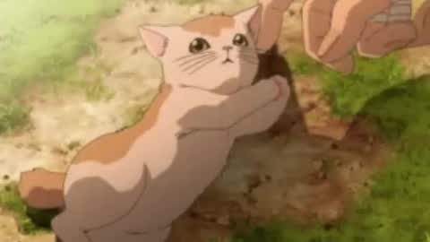 Luna online show from November 4, 11:42 am