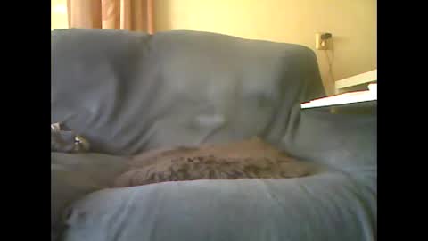 lion160868 online show from October 26, 10:32 am