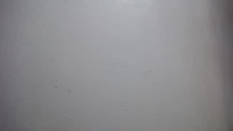 lisa_branch online show from December 14, 11:59 am