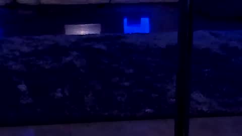 lisa_elfy online show from January 24, 3:45 pm