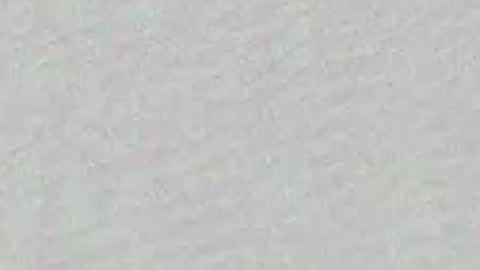 Adaline online show from April 3, 7:50 am