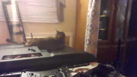 littlegrey376 online show from February 18, 7:15 am