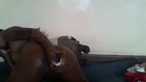 littlesandie online show from March 10, 12:04 pm