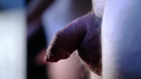 littlescrapper69 online show from October 9, 3:04 am