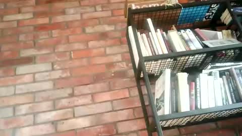 Snapshot of lllukasssxxx chatting on November 1, 9:33 am lllukasssxxx online show from November 1, 9:33 am