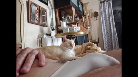 Snapshot of lo82 chatting on October 3, 11:51 am Lo82 online show from October 3, 11:51 am