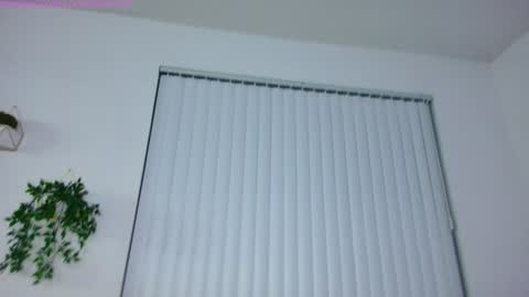 lolo 3 online show from February 8, 3:41 am