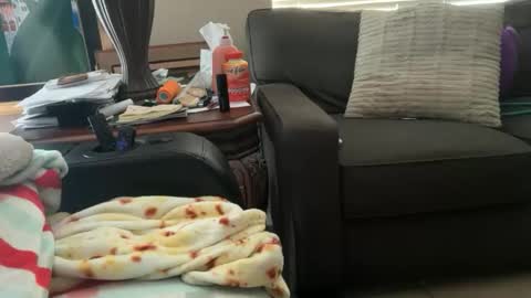 logical12345 online show from November 18, 10:14 pm