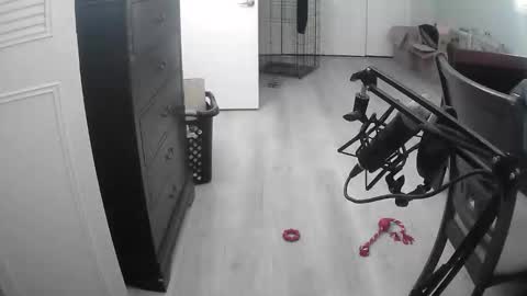 lohangwang69 online show from February 15, 9:44 pm