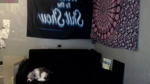 londonray online show from October 8, 6:11 am