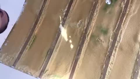 londonsbigbenxxx online show from September 30, 9:25 am