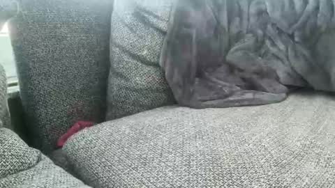 Snapshot of longjohnson94435702 chatting on March 2, 7:54 am longjohnson94435702 online show from March 2, 7:54 am