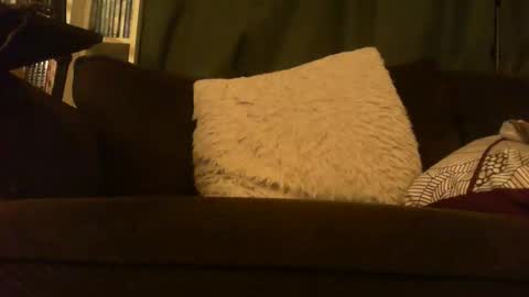 longlorne online show from February 12, 5:13 am