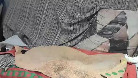 Snapshot of longnight5 chatting on February 24, 5:33 am Alejandro Rulitos Twitter longnight55 Intagram 5longnight5 online show from February 24, 5:33 am