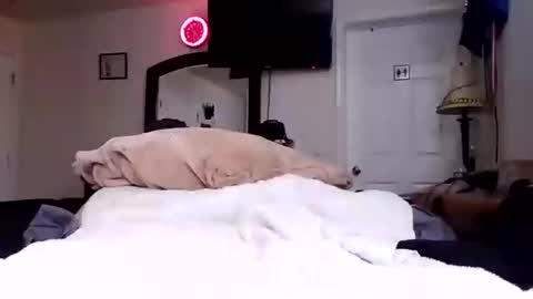 lookatmecum4you online show from October 17, 8:28 am