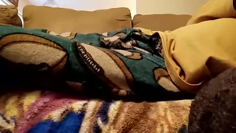 Snapshot of looking4bush chatting on December 15, 8:04 pm looking4bush online show from December 15, 8:04 pm