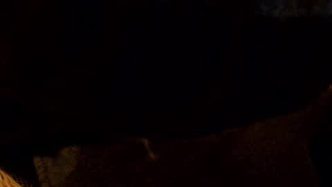 lostinspaxe online show from November 28, 5:21 am