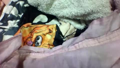 lovaelisa online show from November 2, 2:52 pm