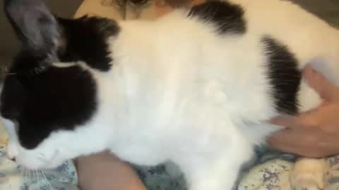 Kate online show from March 1, 12:40 pm