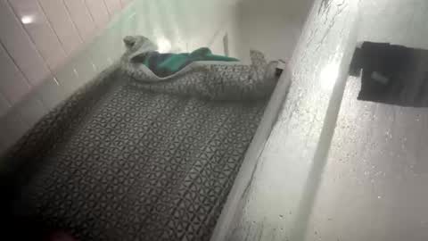 lovefeetonmyface29 online show from September 22, 9:55 am