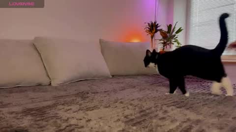 Elsa online show from October 23, 6:34 am