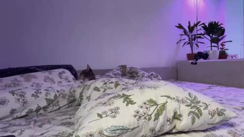 Elsa online show from November 14, 6:34 am