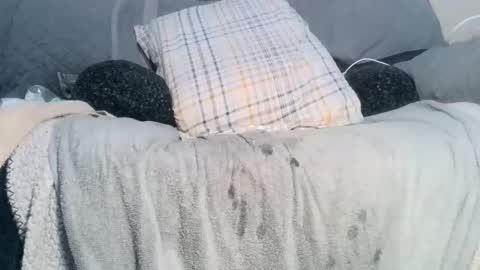 lovetobeused online show from February 17, 2:19 am