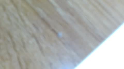 Lucie   online show from December 13, 12:31 am