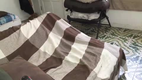 lucifer_curious online show from March 28, 4:39 pm