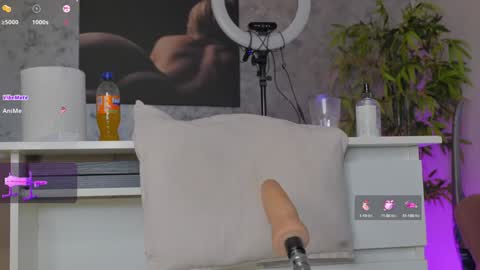 Snapshot of luckystrikee_ chatting on February 8, 11:13 pm Alice online show from February 8, 11:13 pm