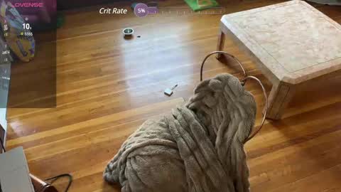 Snapshot of lucydreamsbaby chatting on February 12, 6:19 pm lucydreamsbaby online show from February 12, 6:19 pm