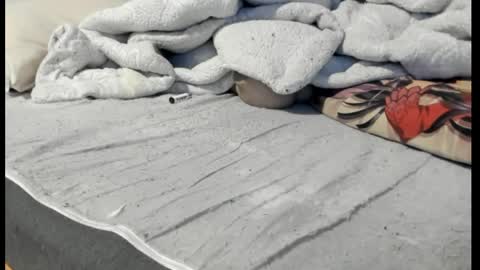 Snapshot of luffykun300 chatting on April 6, 12:52 am luffykun300 online show from April 6, 12:52 am