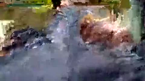 Snapshot of luis_hunk chatting on October 22, 10:59 am Andrew online show from October 22, 10:59 am