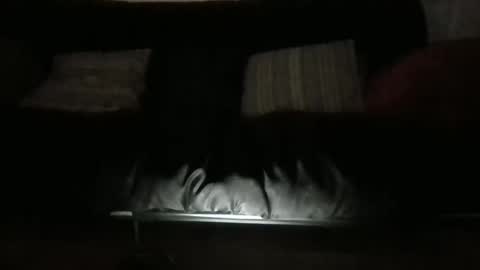 lukusdukus online show from October 11, 10:47 am