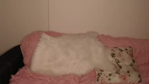 Snapshot of luna_moon77 chatting on February 13, 6:15 pm Luna online show from February 13, 6:15 pm