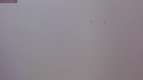 Luna and Rick online show from November 17, 8:36 pm