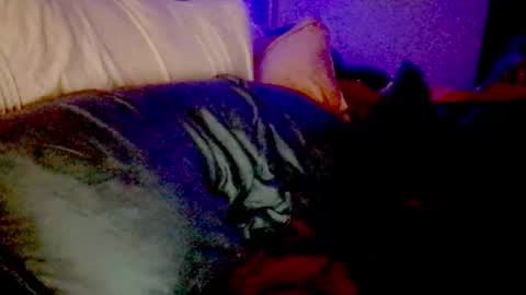 Snapshot of lunadaddysgirl chatting on November 25, 9:20 am Luna Daddys Girl online show from November 25, 9:20 am